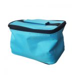 کیف خنک نگهدارنده دارو