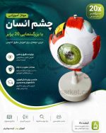 مولاژ چشم انسان با 20 برابر اندازه طبیعی