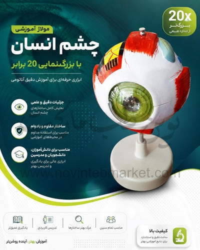 مولاژ-چشم-انسان-با-20-برابر-اندازه-طبیعی-تصویر-شرکتی مولاژ چشم انسان با 20 برابر اندازه طبیعی