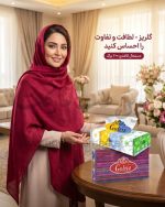 دستمال کاغذی 200 برگ گلریز