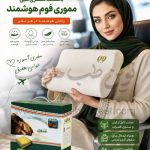 بالشت سفری طبی مموری فوم هوشمند